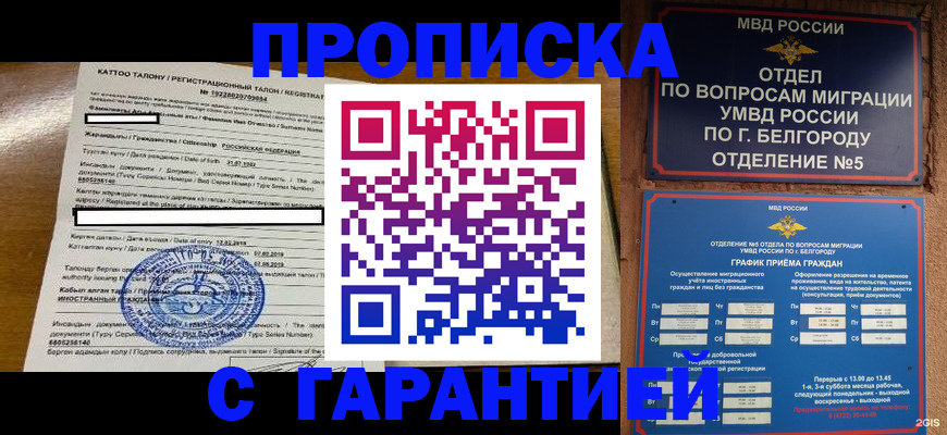 регистрация в Судогде